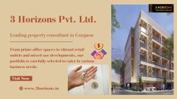 Leading Property Consultant in Gurgaon | 3 Horizons Pvt. Ltd