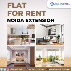 Find Your Ideal Noida Extension Flat with Bivocal Birds!