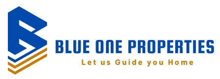 Blue One Properties Sole Proprietorship LLC