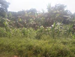 Well located 100acres at Nakasongola Lukoge