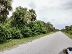 Buildable Lot - SFH - Excellent Location in Port Charlotte