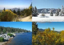 Big Bear Cabin Rentals - Go with the seasons