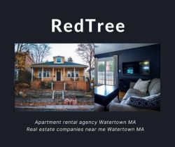 Check the Rental View Hiring an Apartment Rental Agency Wate