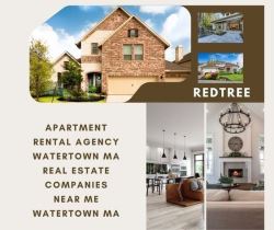 Hire an Apartment Rental Agency Watertown MA