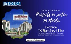 Top Projects in Sector 63 Noida