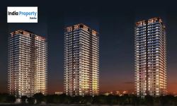 3 BHK Builder Floor Available for sell in sector 57 Gurgaon