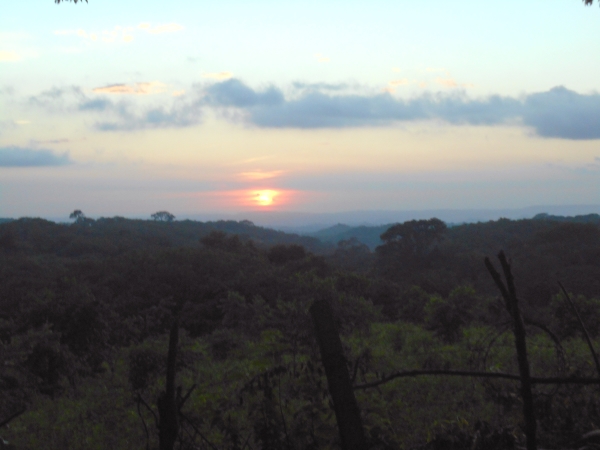 10.19 Acres of Organic land at 8 miles from Managua