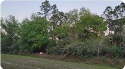 $49 Vacant Lot at 635 S Jasmine St, Clewiston, FL 3440