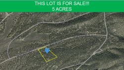 5.0 acre Lot near Cat Mountain in Fort Garland, Colorado! 