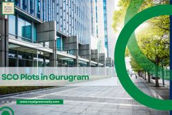 Buy SCO Plots in Gurugram – Royal Green Realty