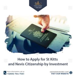 How to Apply for St Kitts and Nevis Citizenship by Investmen