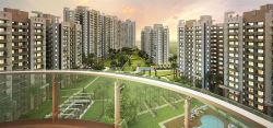 Best and Luxury 2 & 3BHk flats in sector 86 Gurgaon.
