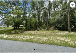Find the Best Deals on Land for Sale in Ocala FL
