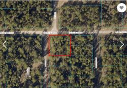 Secure Your Future: Affordable Land for Sale in Dunnellon, F