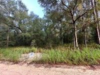 Discover Budget-Friendly Lots: Land for Sale in Ocala, Flori