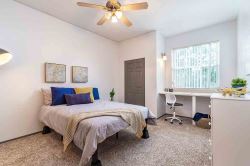 Book Your Dream Student Apartments in Tampa, Florida