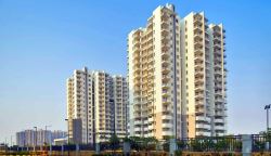 2,3 and 4 BHK Apartments for sale In sector 104 Gurgaon
