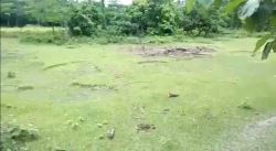 A Stunning Land is Available for Sale in North Bengal