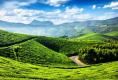 Best tea gardens are available for sale in Darjeeling
