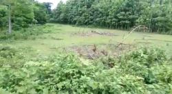 A Large Land is available for Sale in Alipurduar For Resorts