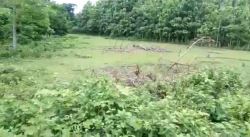 Beautiful Land Ready For Sale In North Bengal For Resorts