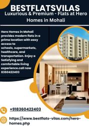 Luxurious & Premium - Flats at Hero Homes in Mohali