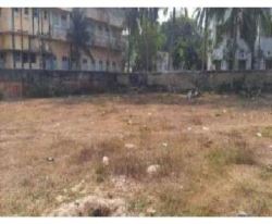 Land ready for sale for business purpose in digha