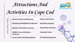 Explore Cape Cod Attractions & Activities With Us
