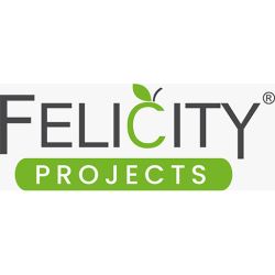 Luxurious 5 BHK Flats for Sale | Felicity Projects
