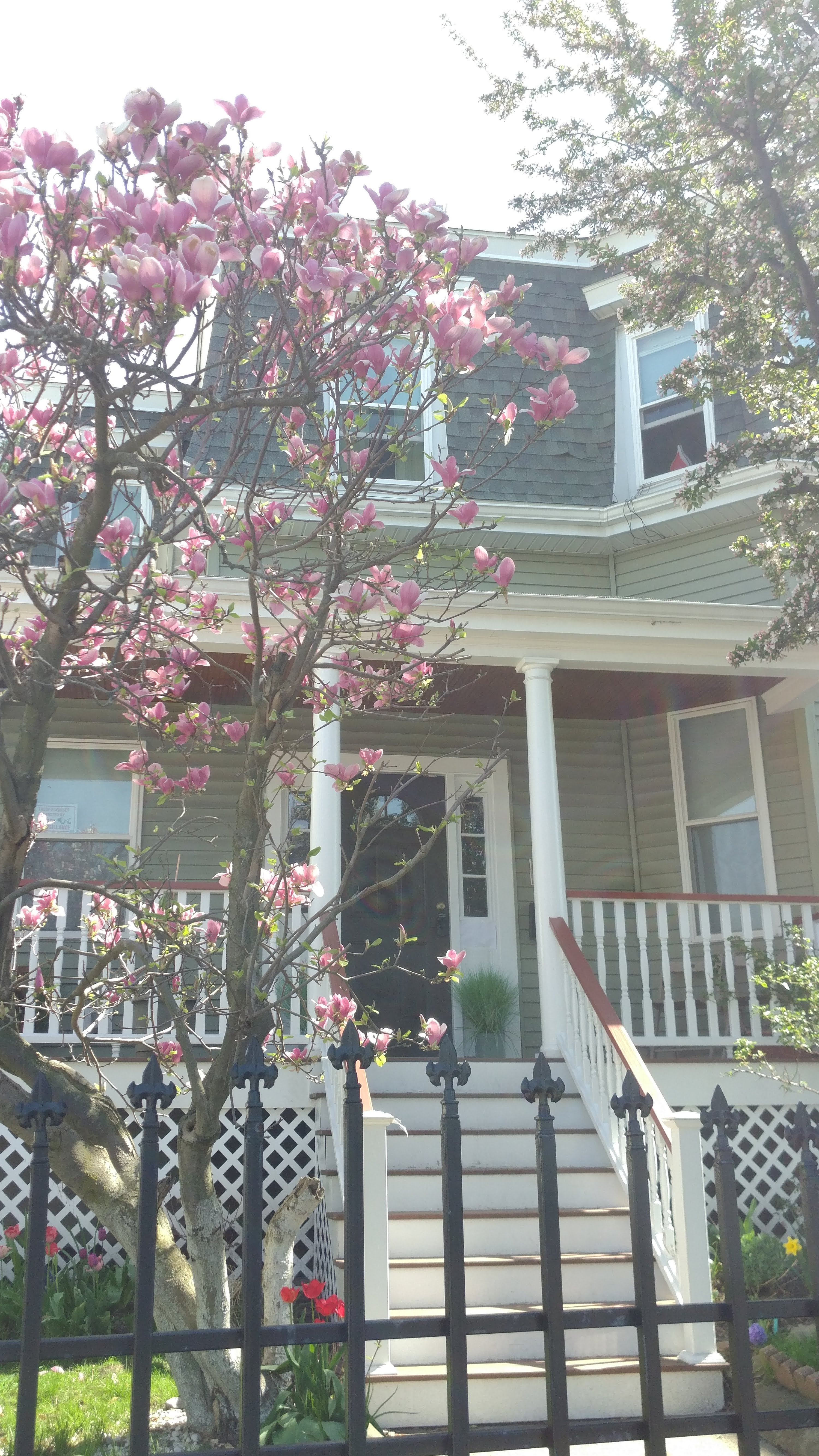 Boston's 2bedroom short term apartment vacation rental in JP