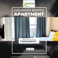 Lime Tree 1bhk, 2bhk and 3bhk Service Apartment in Gurgaon