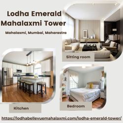 Lodha Emerald Mahalaxmi Is New Launch Property Project
