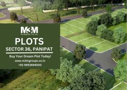 Buy plots sector 36 Panipat
