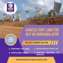 Agriculture Land For Buy in Chikkabalapur | Moonstarbuilders