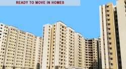 VGN: Providing Best 2-BHK Flats at Affordable Rates