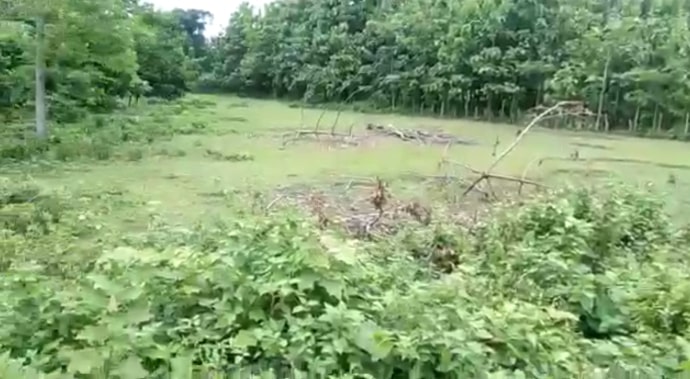 Large Land Ready For Sale In Alipurduar For Resorts