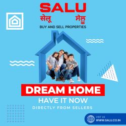 Salu- Best Real Estate Consulting and Assistance Services