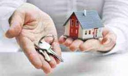 Manage your property by professional property management 