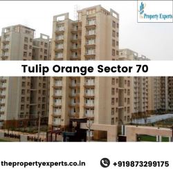 Tulip Orange Sector 70 Gurgaon