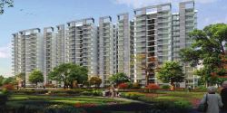 At Sector 103 Gurgaon, The Whiteland Aspen offers convenient