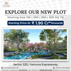 ACE Estate:  Plots in Noida