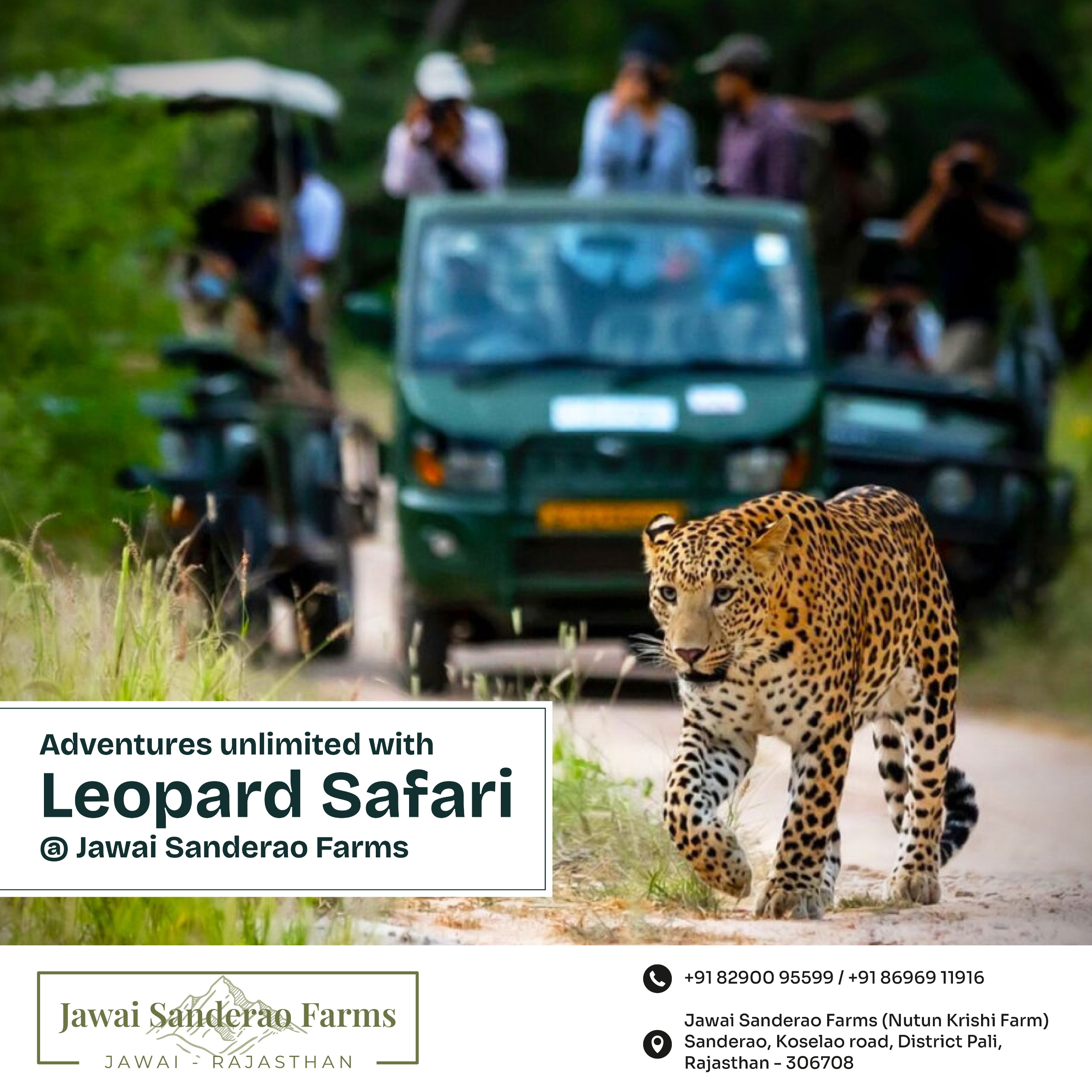 Jungle Safari at Jawai Sanderao Farm