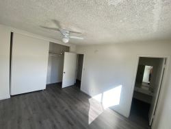 Spacious 1 bedroom 1 bath