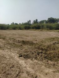 DTCP APPROVED PLOTS FOR SALE AT SEVVAPET