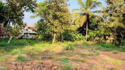  Land For Sale In Goa – Prime Locations Available