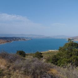 Land offer for investors in Georgia, Tbilisi (Tbilisi, Varke