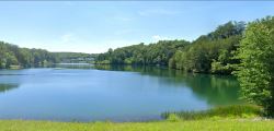 Serene 0.23-Acre Land in Crossville, TN! Buy this property t