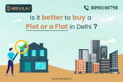 Is it better to buy a plot and a flat in Delhi?