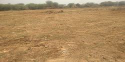 DTCP APPROVED PLOTS FOR SALE AT SRIPERUMBUDHUR