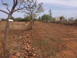 DTCP APPROVED PLOTS FOR SALE AT POONDI